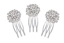 Load image into Gallery viewer, Comb Pin Set